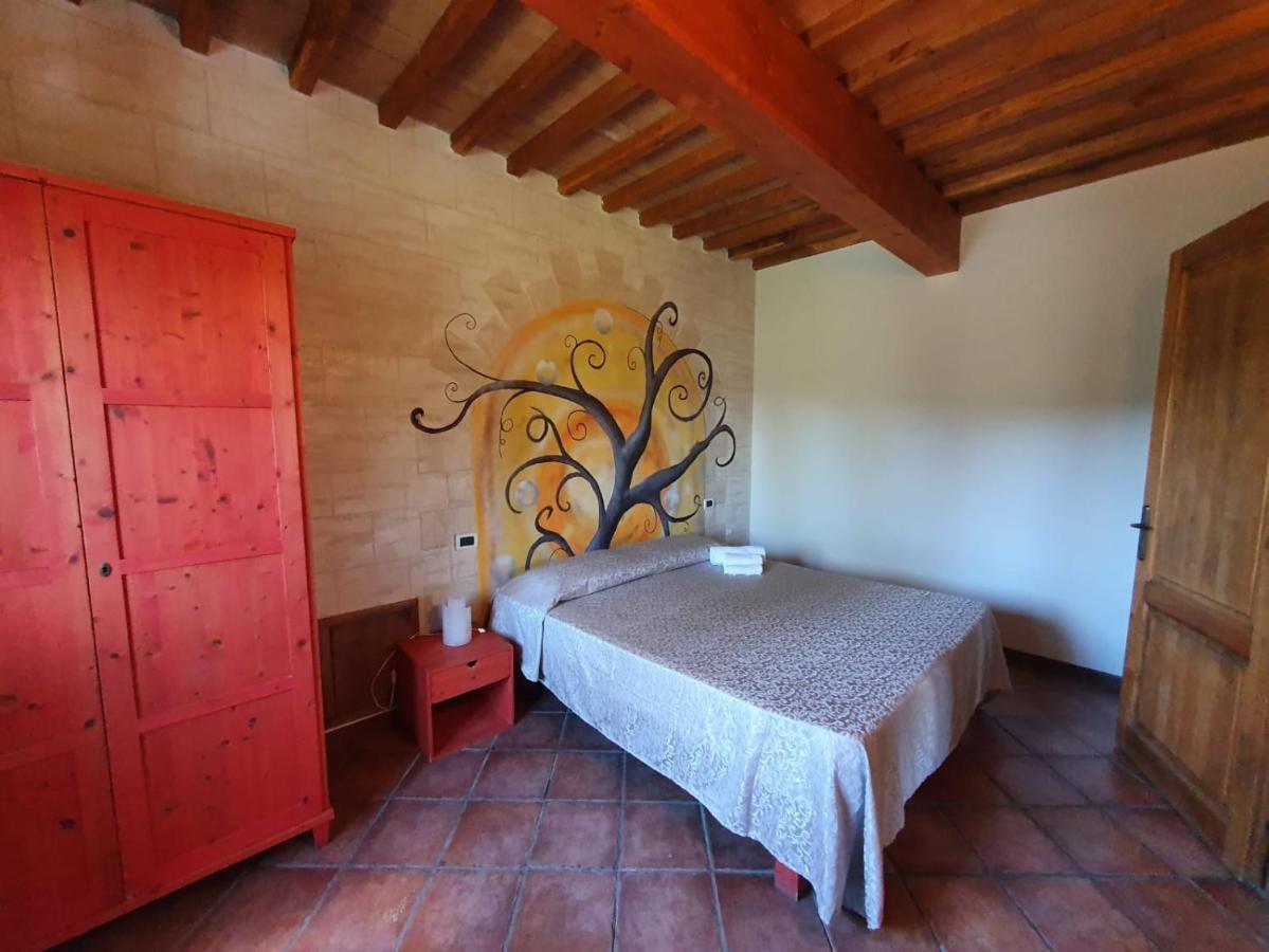 Agriturismo Fattoria Lischeto Волтера Екстериор снимка