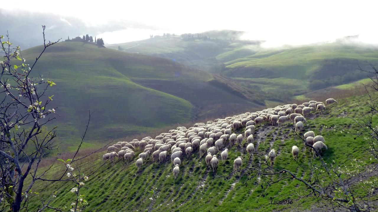 Agriturismo Fattoria Lischeto Волтера Екстериор снимка